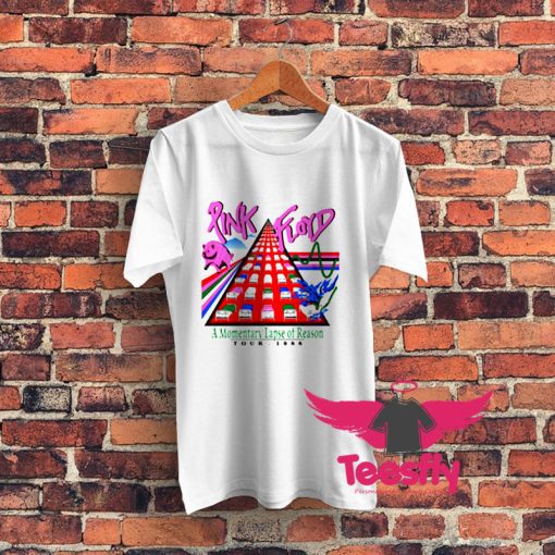 Pink Floyd Momentary Lapse of Reason Graphic T Shirt