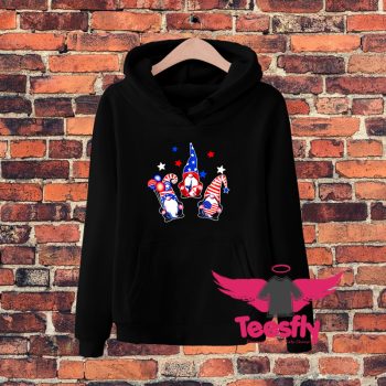 Funny Fourth Of July Gnomes Patriotic Hoodie