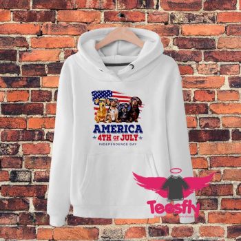 American th Of July Independence Day Hoodie